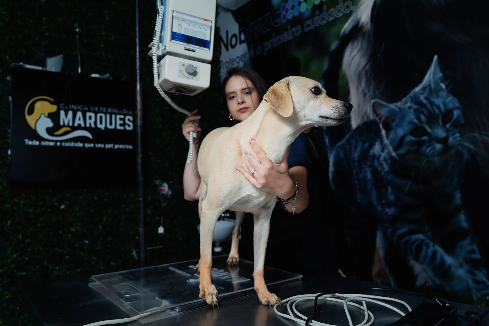 Clínica Veterinária Marques